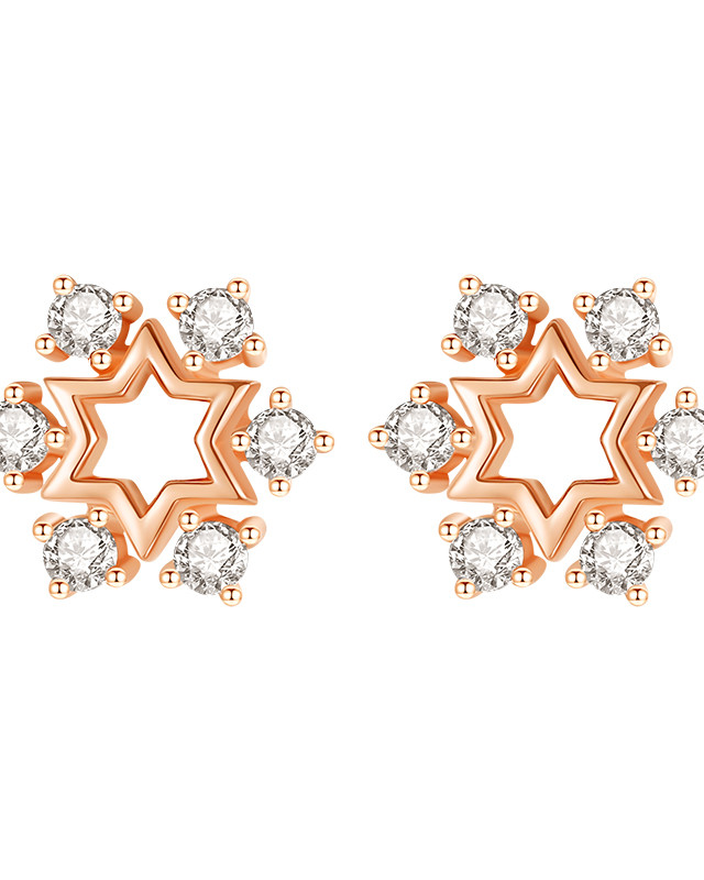 7-Day Love & Roses Earring Set-rose gold earstuds